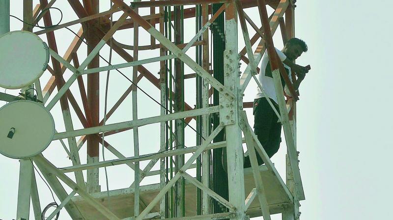 The parent of a student checks his mobile phone atop a cellphone tower at Vijayawada on Sunday. (Photo: DC)