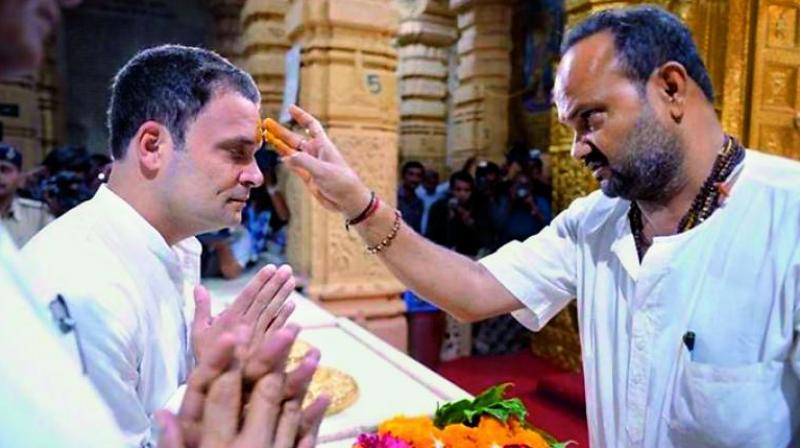 Congress vice-president Rahul Gandhi offering prayers at the Somnath Temple on Wednesday. (Photo: PTI)