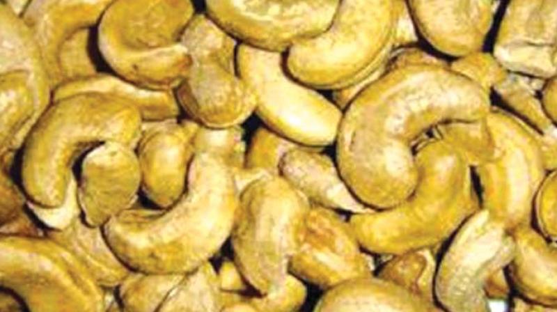 The chairmen of both the KSCDC and Capex have demanded that the directors of these public sector plantations abstain from their move to float tenders to sell the cashew that is produced.