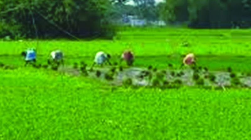 A committee headed by former HP CM Shanta Kumar proposed that the Centre leave the purchase of foodgrain to the states, and give them subsidy.