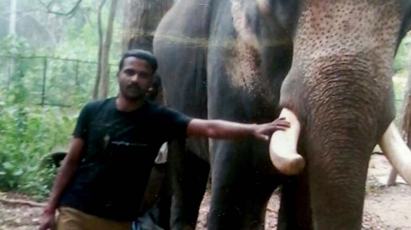 R. Deepu, with an elephant at Kottoor Kappukadu Elephant Rehabilitation Centre.