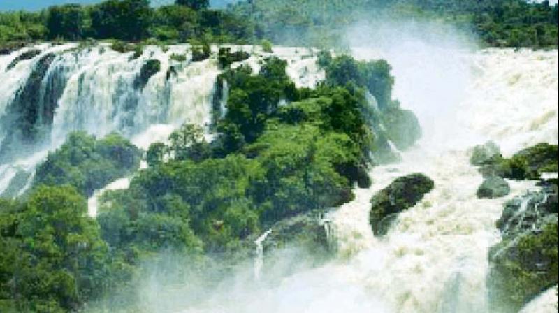 The river Cauvery in full flow at the Shivanasamudra falls in Mandya district.