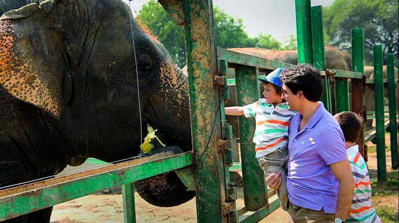 Canadas Prime Minister Justin Trudeau with his son Hadrien, 3, feed an elephant during a tour of the  elephant sanctuary in Mathura on Sunday. (Photo: PTI)