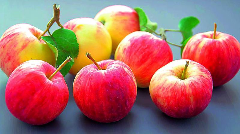 The government had restricted import of apple by allowing its inbound shipment only through Nhava Sheva port in Maharashtra.