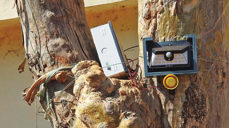 The early warning system installed in Pandalur in Nilgiris border. (Photo: DC)