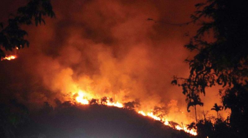 A file picture of forest fire in Tamil Nadus Theni district