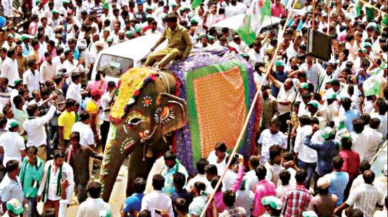 Officers of the Magadi Range Forest Office say the JD(S) did seek oral permission for taking out the procession with a jumbo but was denied it.