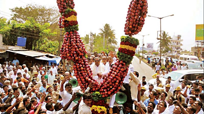 Supporters welcome Chief Minister Siddaramaiah with a garland made of 750kg of apples in Chamundeshwari constituency on Sunday. (Photo: DC)