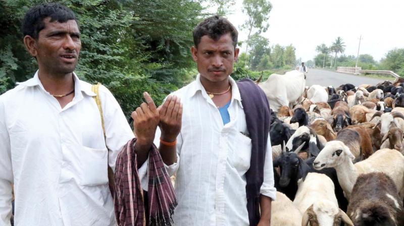 Farmers going to work after casting their votes at Gokak in Belagavi district on Saturday. (Photo: KPN)