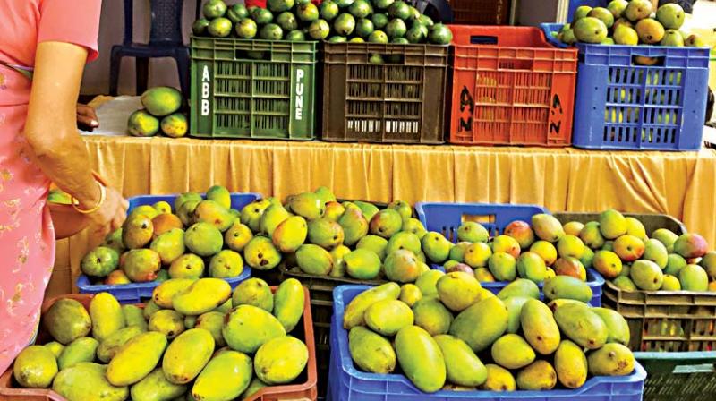 Manoranjan K., a resident of Lalbagh area, said that he enjoys mangoes from Lalbagh Mela as they are tasty and free of chemicals.