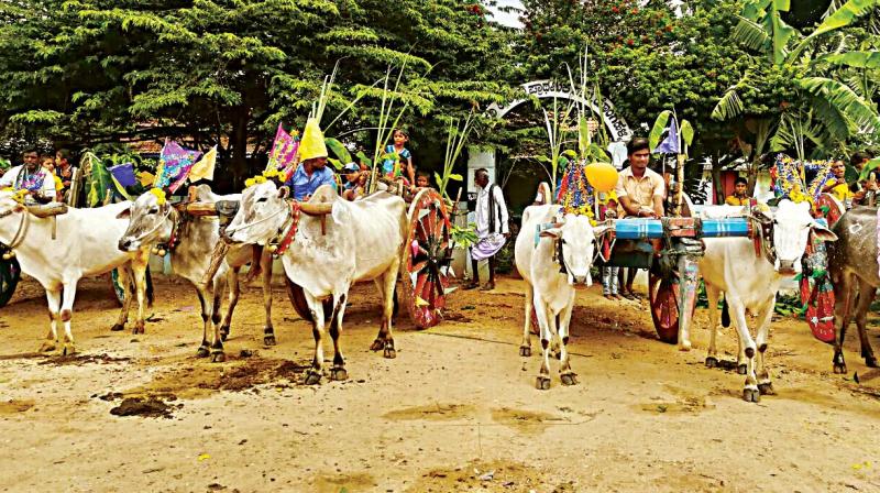 Children being taken to school in bullock carts at Hongalli village in Gundlupet taluk on Tuesday. (Photo: DC)