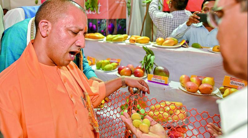 Uttar Pradesh Chief Minister Yogi Adityanath takes a round of the stalls after inaugurating the UP Mango Festival, in Lucknow on Saturday. (Photo: PTI)