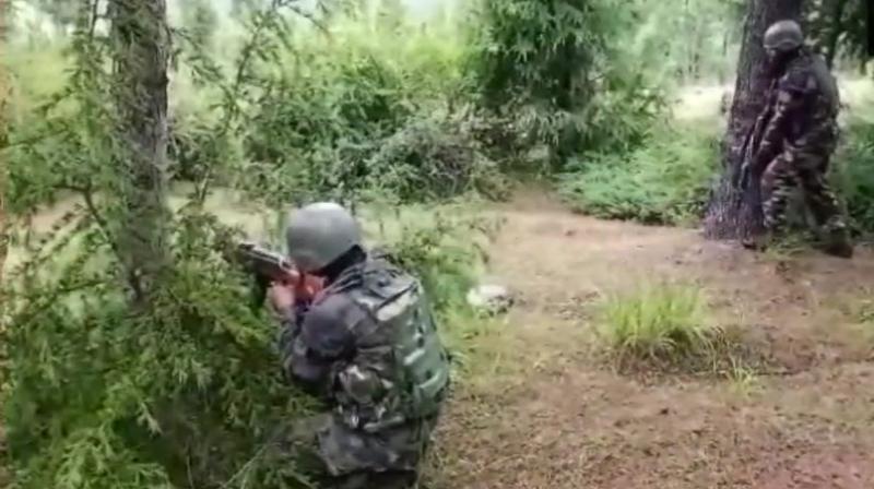 Intermediate firing is underway in the area and more forces have been rushed to the spot. (Photo: ANI/Twitter)