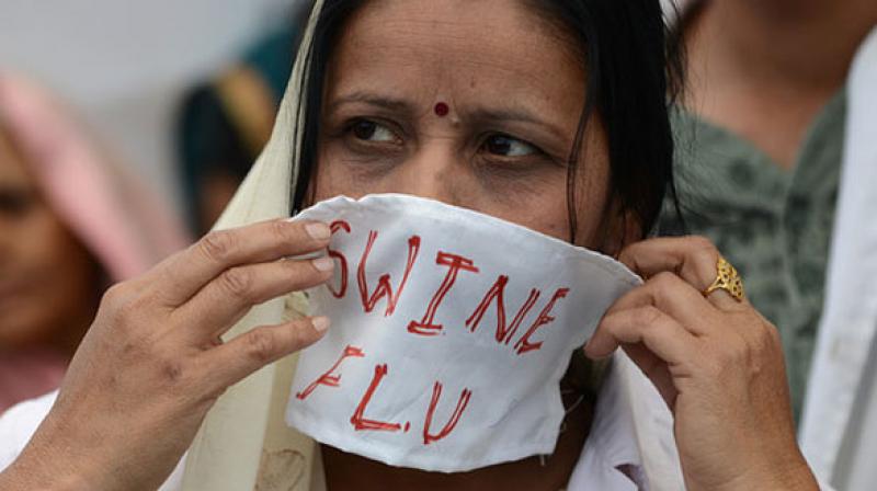 The health alerts by the Central government share the precautions to be taken in case one contracts swine flu.   (Representational photo) (Photo: AP)