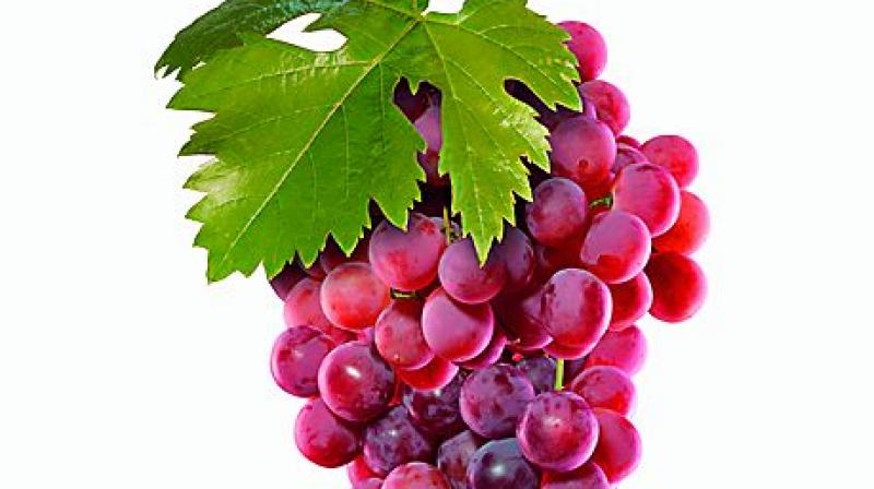 Grapes (Representational image)