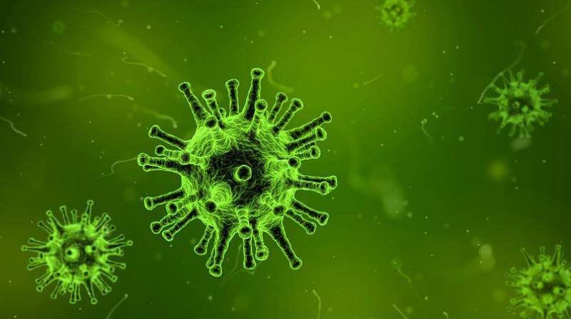 Flu could be early sign of herpes, experts claim. (Photo: Pixabay)