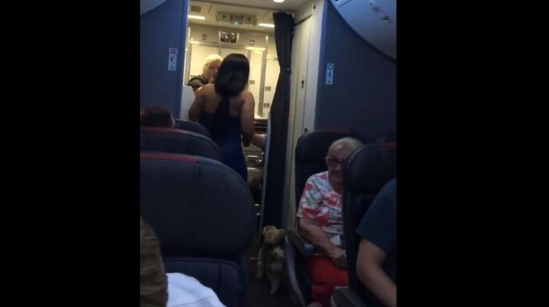 Video: Woman leaves her dog loose on flight, deboarded after yelling at staff