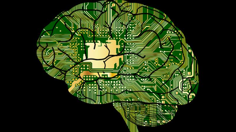 In intelligent people 2 brain areas involved in cognitive processing of task-relevant information are connected better to the brain. (Photo: Pixabay)