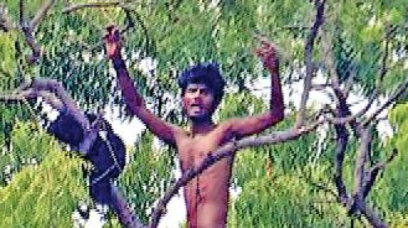 An inmate climbs atop a tree as a sign of protest. (Photo: DC)