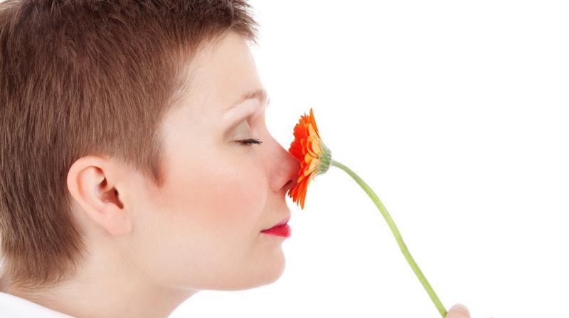 Womens noses may be smaller, but their brains can read much more from the air they do breathe in. (Photo: Pixabay)