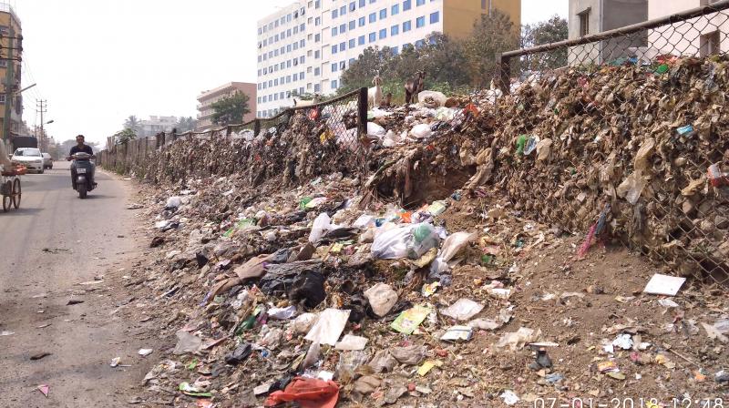 Mounds of garbage dumped near the side of the road at Ilyas Nagar near Kumaraswamy Layout (Photo: DC)