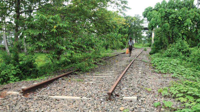 A man walks along the incomplete 7.5-km Angamaly-Kalady rail line, part of Sabari rail project. (Photo:  ARUN CHANDRABOSE)