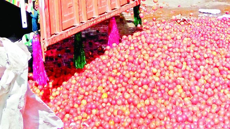 Last year, the total tomato production was of 31.95 lakh metric tonnes but the price varied all through the years  from Rs 5 per kg to Rs 30 per kg.