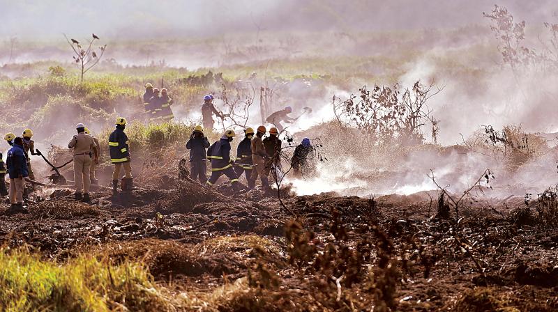 Firemen douse the flames at Bellandur lake in Bengaluru on Saturday 	 Satish B.