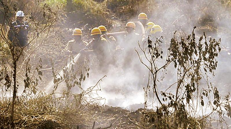 Army personnel and firefighters try to douse the fire at Bellandur Lake on  Saturday in Bengaluru  	DC