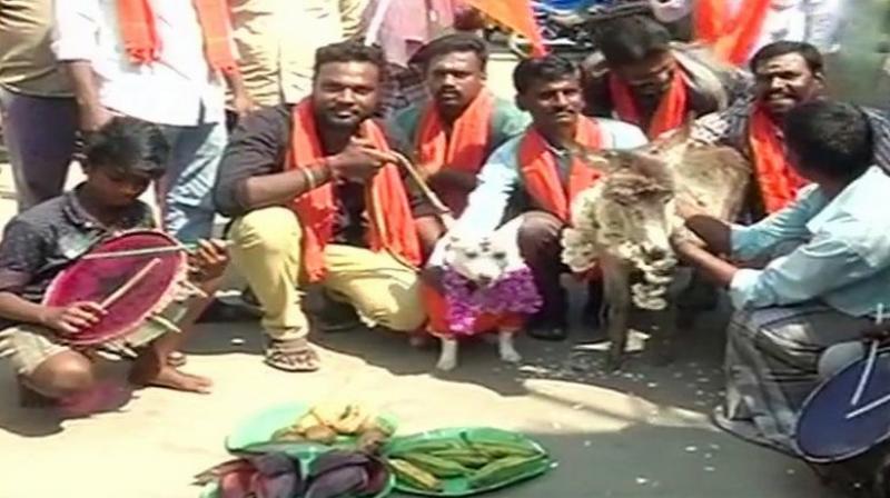 Bharat Hindu Front workers got a dog and a donkey married in protest to indicated their opposition to Valentines Day. (Photo: Twitter | ANI)