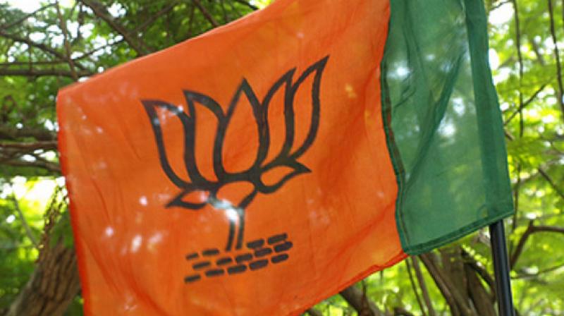 The BJP says it would like to play the role of an effective opposition and emerge as an alternative to the ruling party. (Photo: PTI)