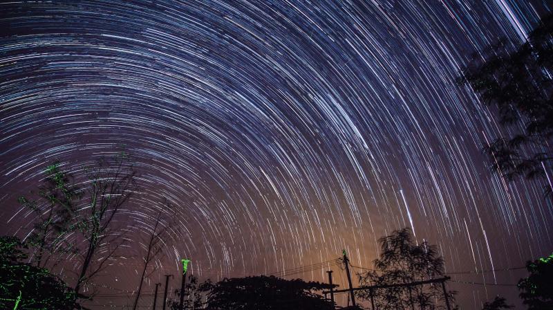 A file photograph of the shower last year spotted near Mandya A file photograph of the shower last year spotted near Mandya