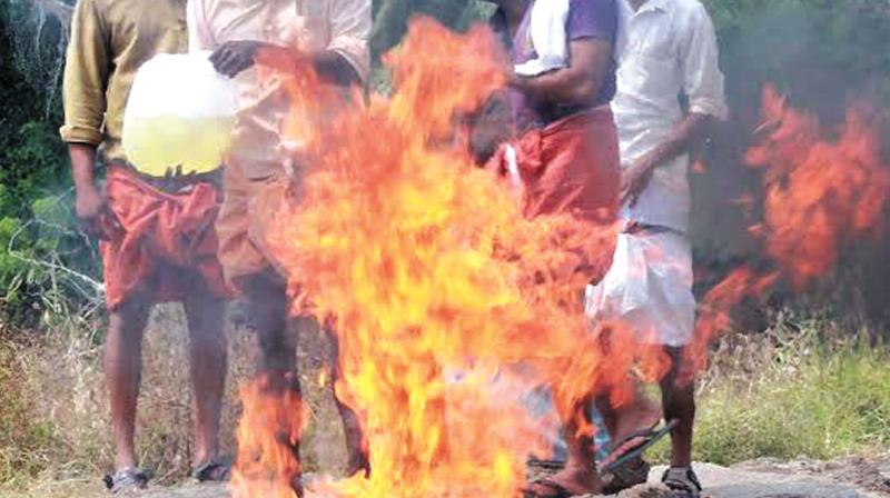 Farmers burning ducks infected with H5N8 virus after the were culled in Alappuzha on Wednesday. (Photo: DC)