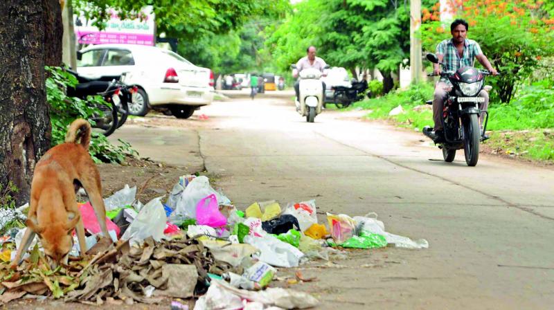 Garbage piles up on Guntur city roads as the Municipal Corporation employees are on a strike for the past three days. (Photo: DC)