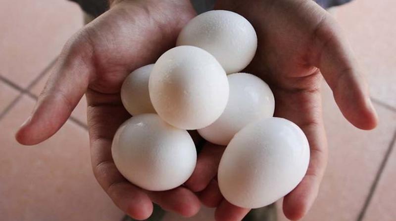 The rapture caused by eggs was sewn up after removing eggs and rinsing the abdominal cavity (Photo: AFP)