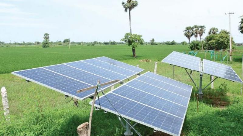 Solar panels at Devarajs field. (Photo: DC)