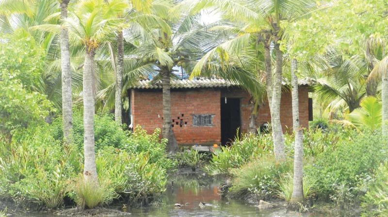 An abandoned house on Munroe Thuruthu.