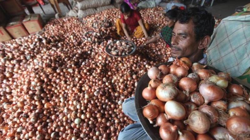 Wholesale rates in other onion markets in Maharashtra have also fallen. (Photo: File/PTI)