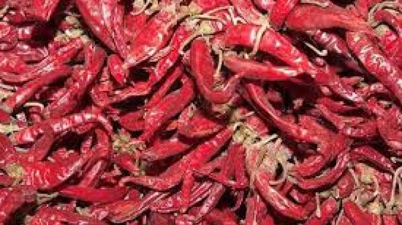 Due to the presence of this pesticide residue, Guntur chillies are not accepted by European countries and America.  (Representational Images)