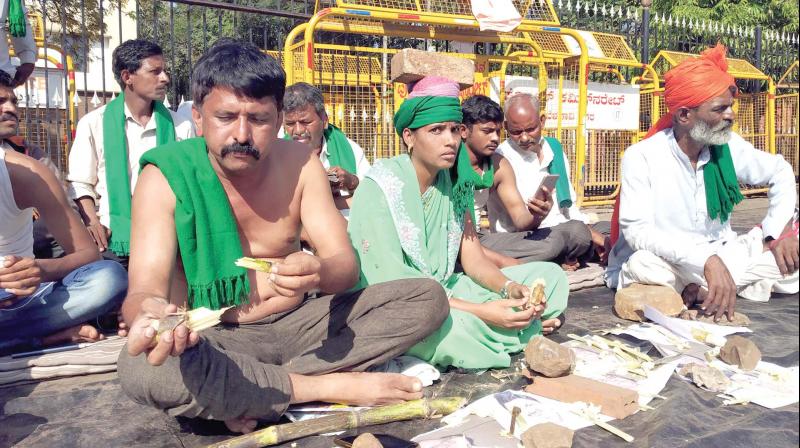 A file photo of sugarcane farmers protesting in Belagavi 	KPN