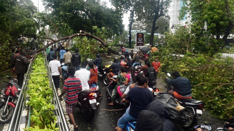 Uprooted trees block the road following a storm in Chennai on Monday. The movement of traffic on several arterial roads including the famous Anna Salai, Grand Southern Trunk road were largely affected while several trees were uprooted as cyclone Vardah made landfall near Chennai coast on Monday. (Photo: AP)