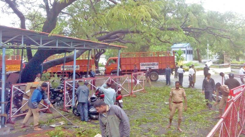 Trees fallen at the Secretariat due to the Cyclone Vardah on Monday.