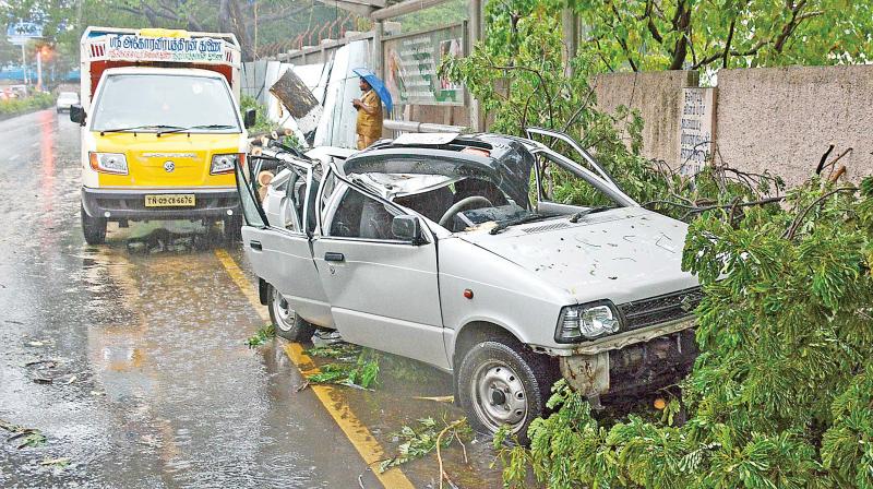 Remains of a car that was crushed by a tree that fell in Kotturpuram on Monday (Photo: DC)