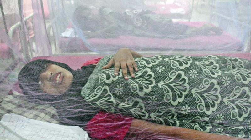 Dengue affected patients under treatment in the special ward at Rajiv Gandhi Government General Hospital on Thursday. (Photo: DC)