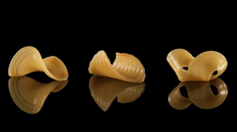 These pasta shapes were caused by immersing a 2-D flat film into water.  Image: Michael Indresano Production