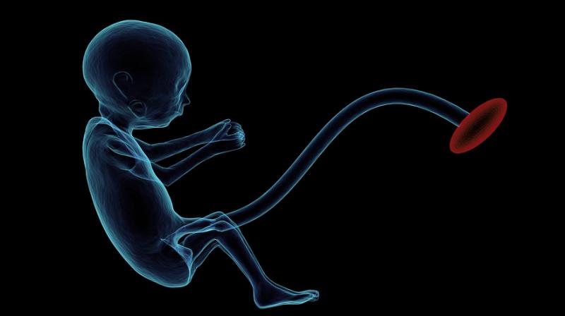 New MRI can detect abnormalities in foetuses in second trimester. (Photo: Pixabay)