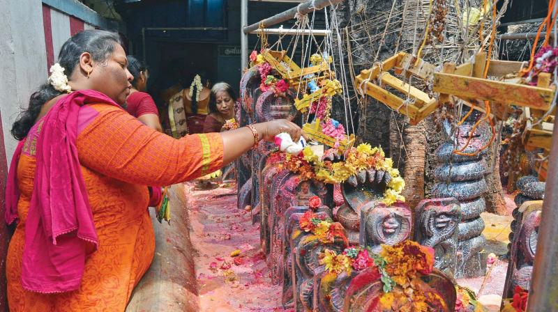 A woman  offering milk to  serpent gods at Mundaka Kaniamman temple. (Photo: DC)