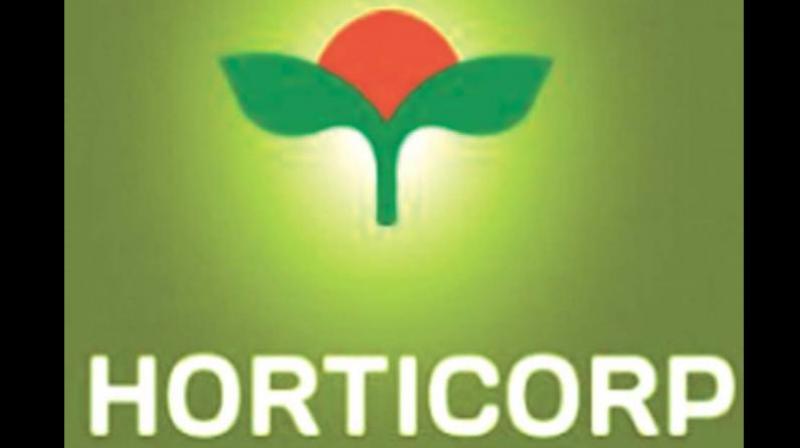 Horticorp director Dr. Ranjan S. Karippai has resigned from the post after incurring a loss of Rs 2 crore.