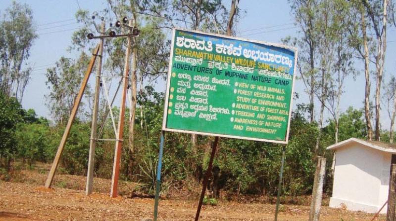 The board put up at the entrance to the Sharavathy Valley Wildlife Sanctuary and (inset) a villager grazing cattle in the valley