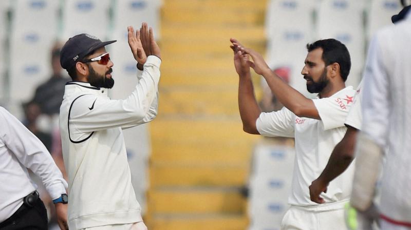 Virat Kohli lauded Mohammed Shamis performance saying that has become more hard-working. He has come back fitter and stronger. (Photo: PTI)